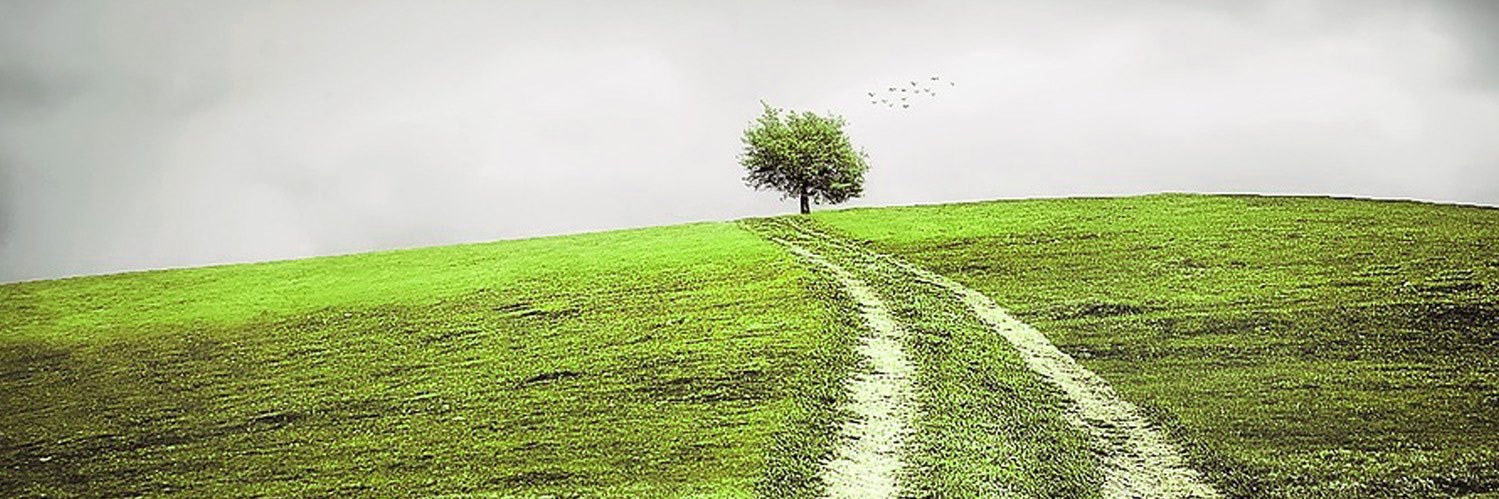 Dyl H banner
