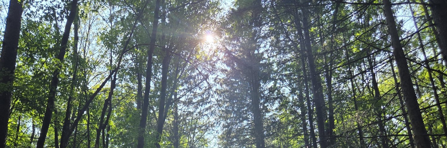 beezsys's profile banner image