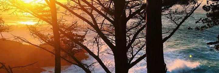 celestechllr's profile banner image
