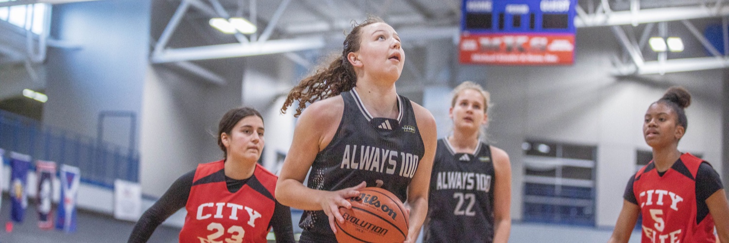 Allison Scheu banner