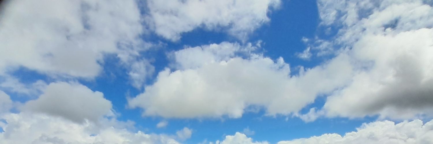 Sharon Jenkins banner