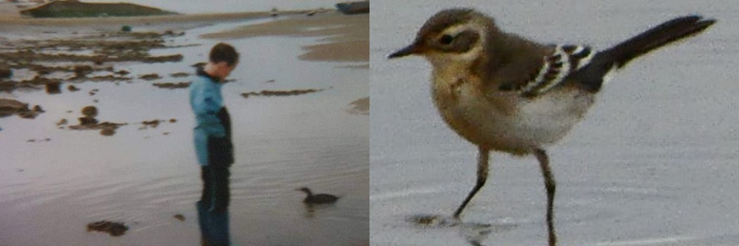 Graham Connolly banner