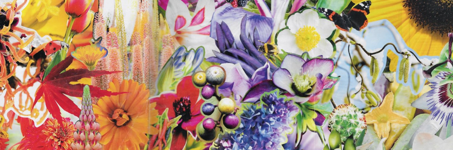 Rebecca Burrows banner