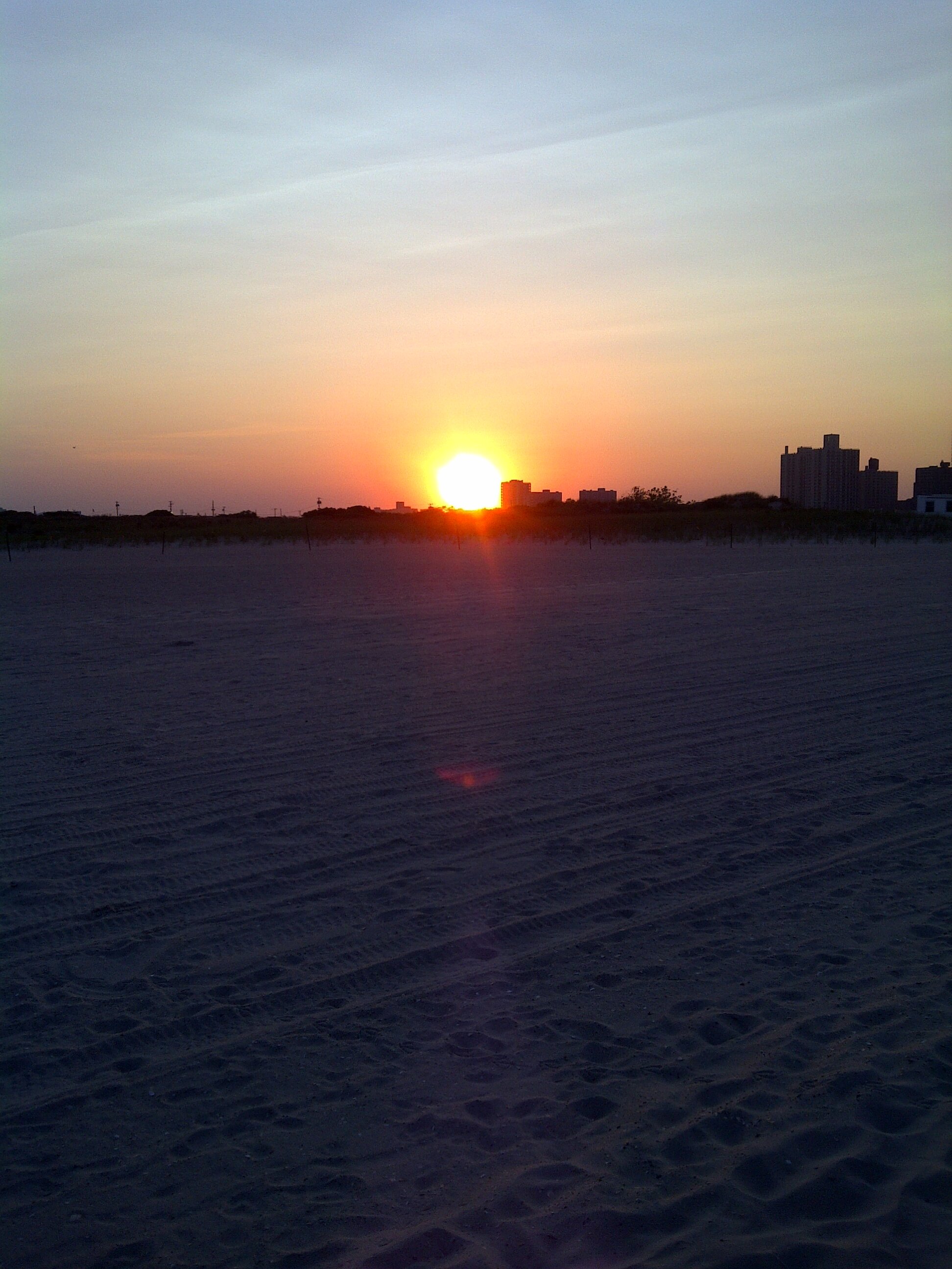 David Friedfeld banner