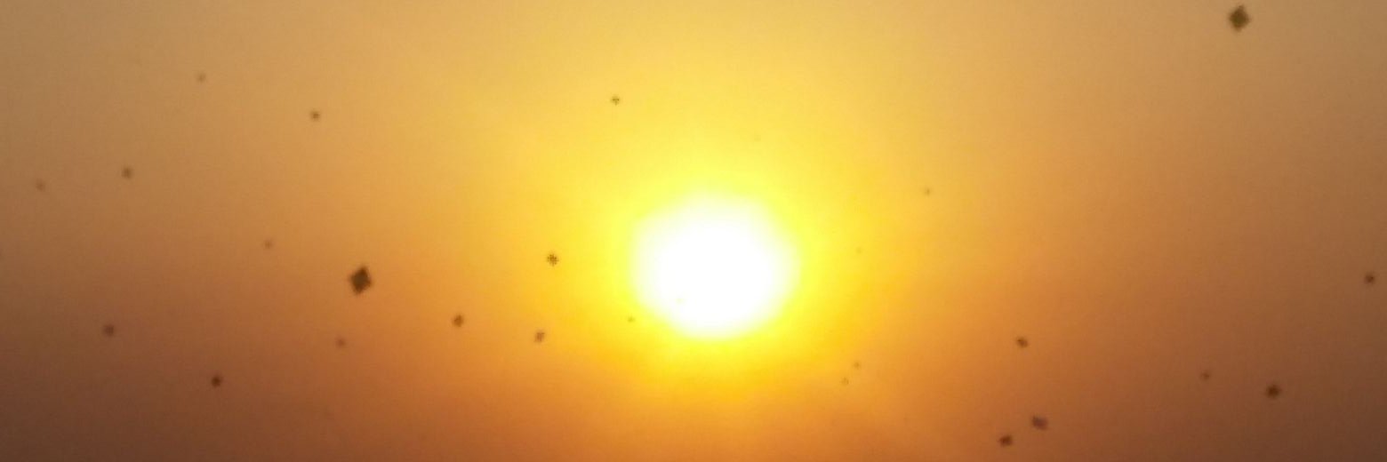 smithgce2012's profile banner image
