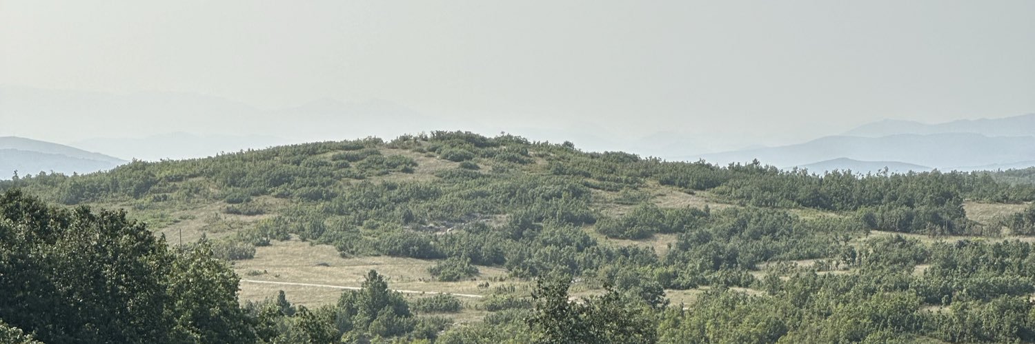Petar banner