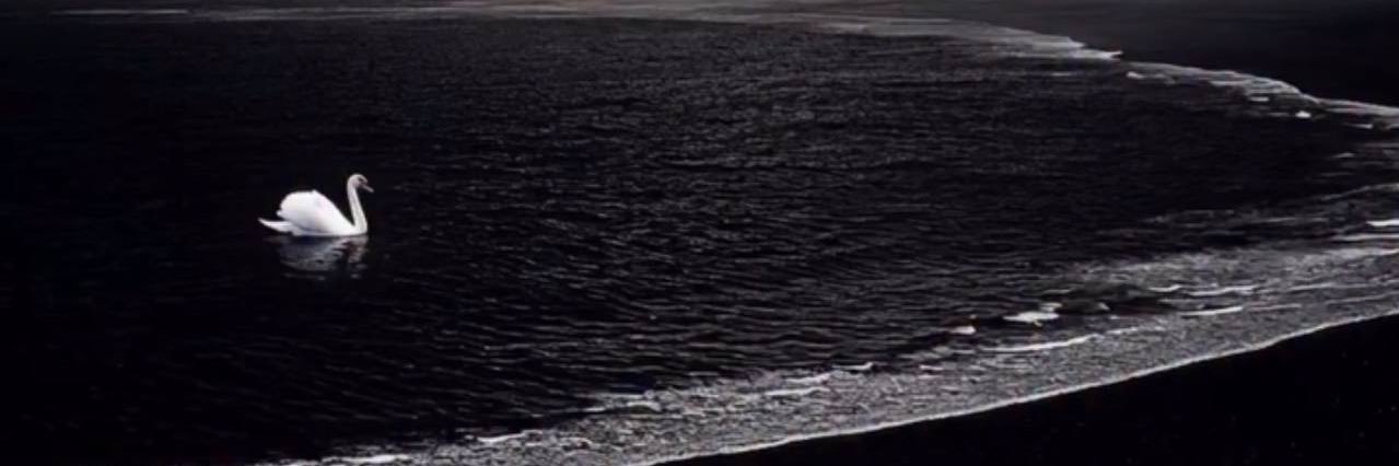 ظلّ banner