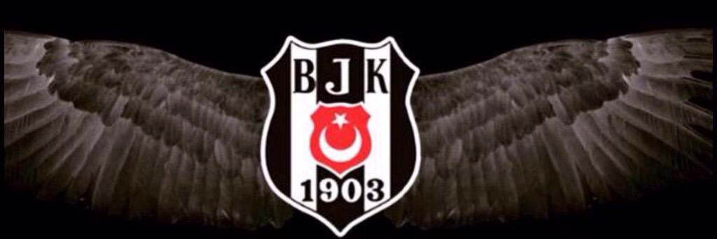 mertberkegr's profile banner image
