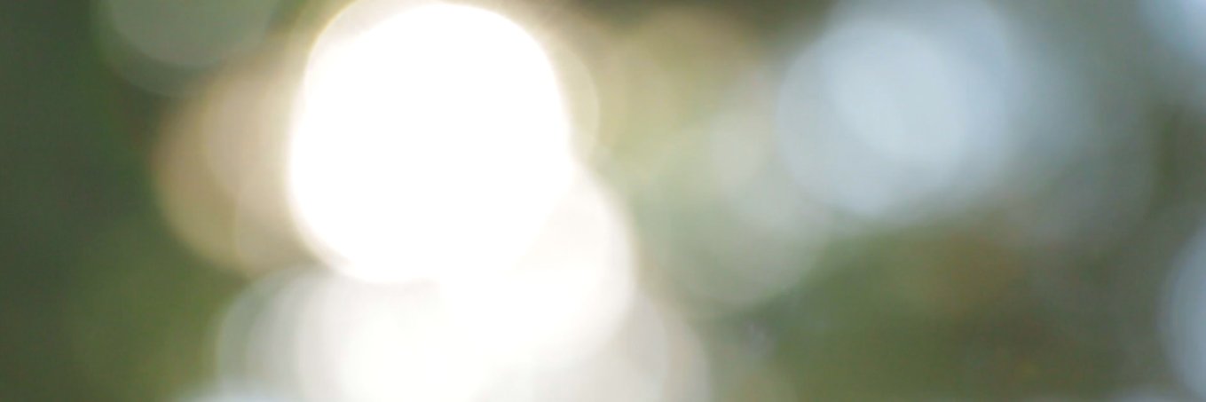 TomorrowConsult's profile banner image