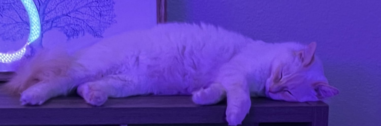 sarahsunbeam's profile banner image