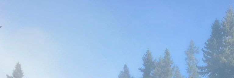 jeenigma's profile banner image