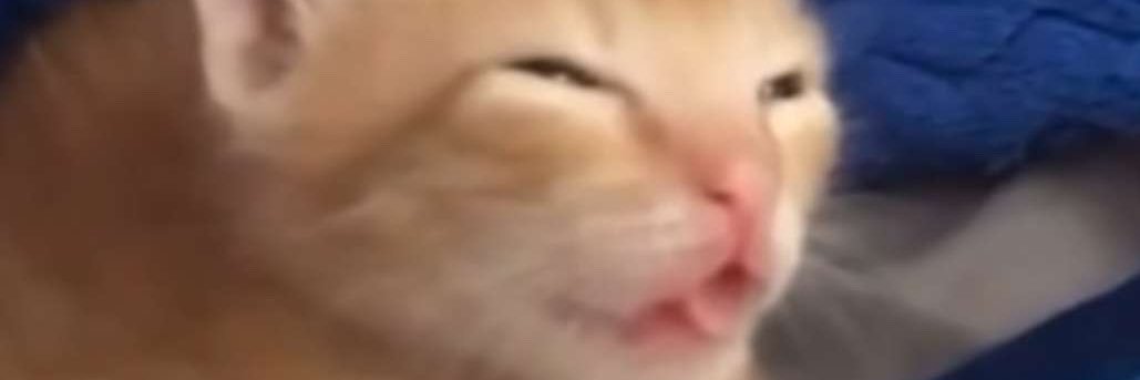 Silly Man banner