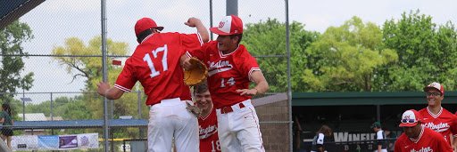 Wellington High School Baseball banner