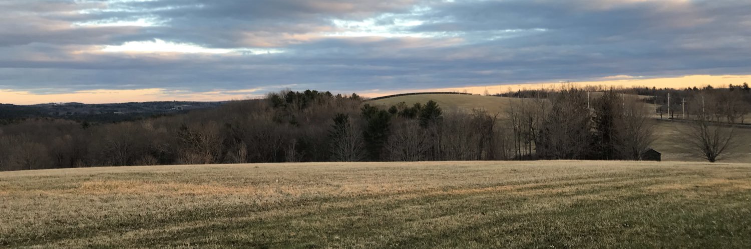 cindysmurphy's profile banner image