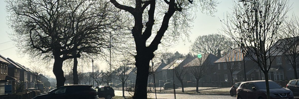 Sam banner