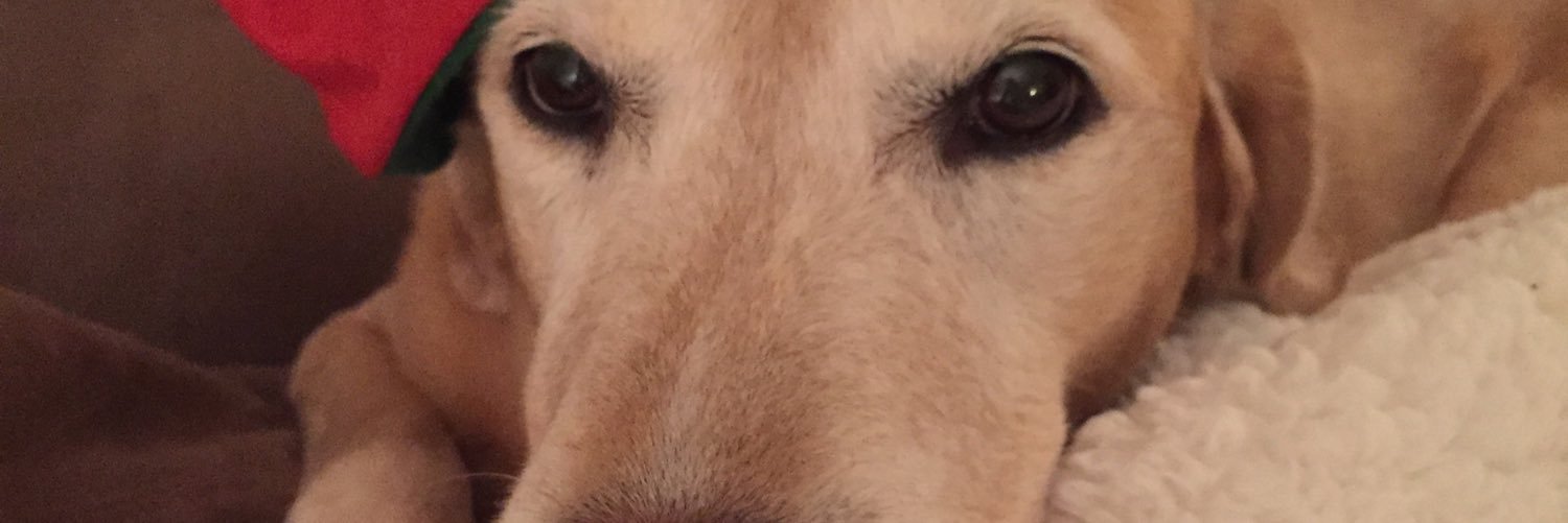 slappsymax's profile banner image