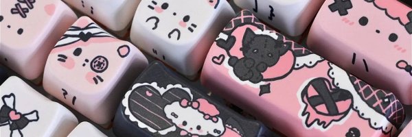 perfectgirldumb's profile banner image