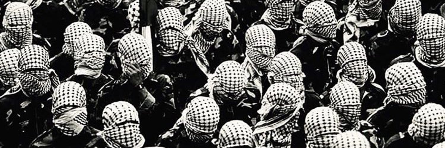 Nawfside 🫎 banner