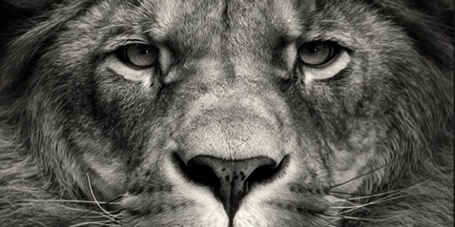 jabat3000's profile banner image