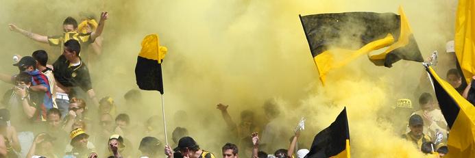 catutat's profile banner image