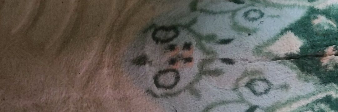 Ehem35's profile banner image