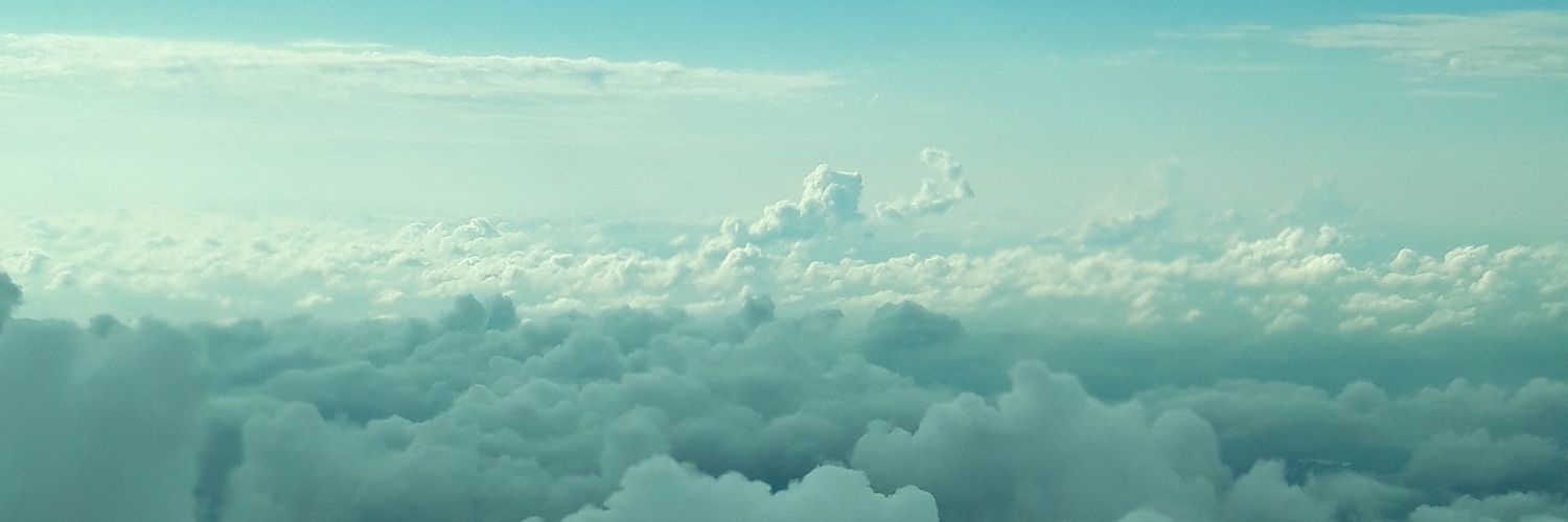 Julia Nioré banner