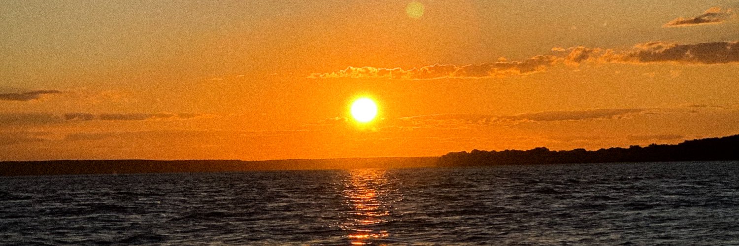 aledoub's profile banner image
