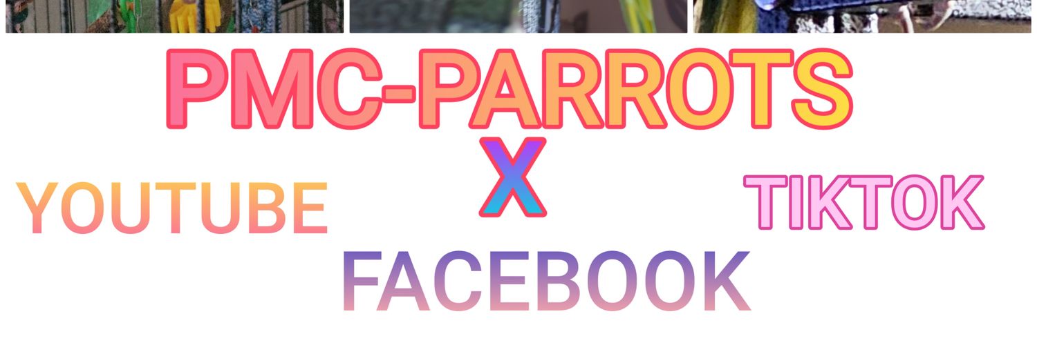 PMC-PARROTS banner
