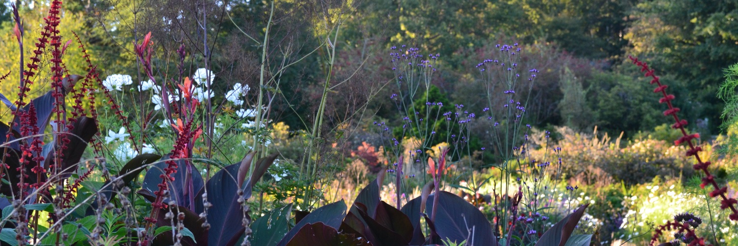gardencoursesco's profile banner image