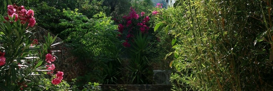 IlseRedbubble's profile banner image