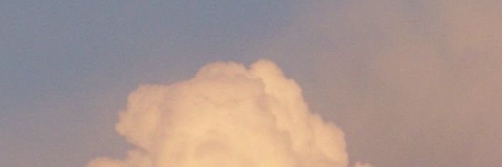 x2Cheesecake1's profile banner image