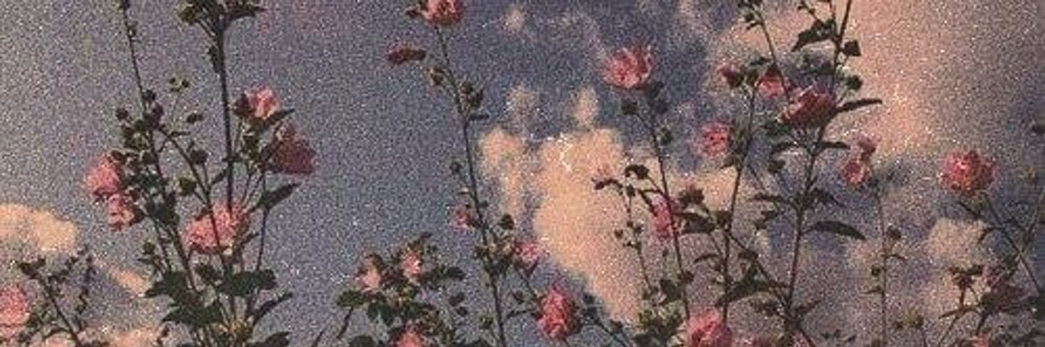 rehabmo1997's profile banner image