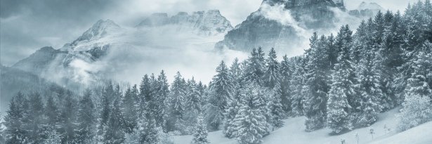 Lloydinaday's profile banner image