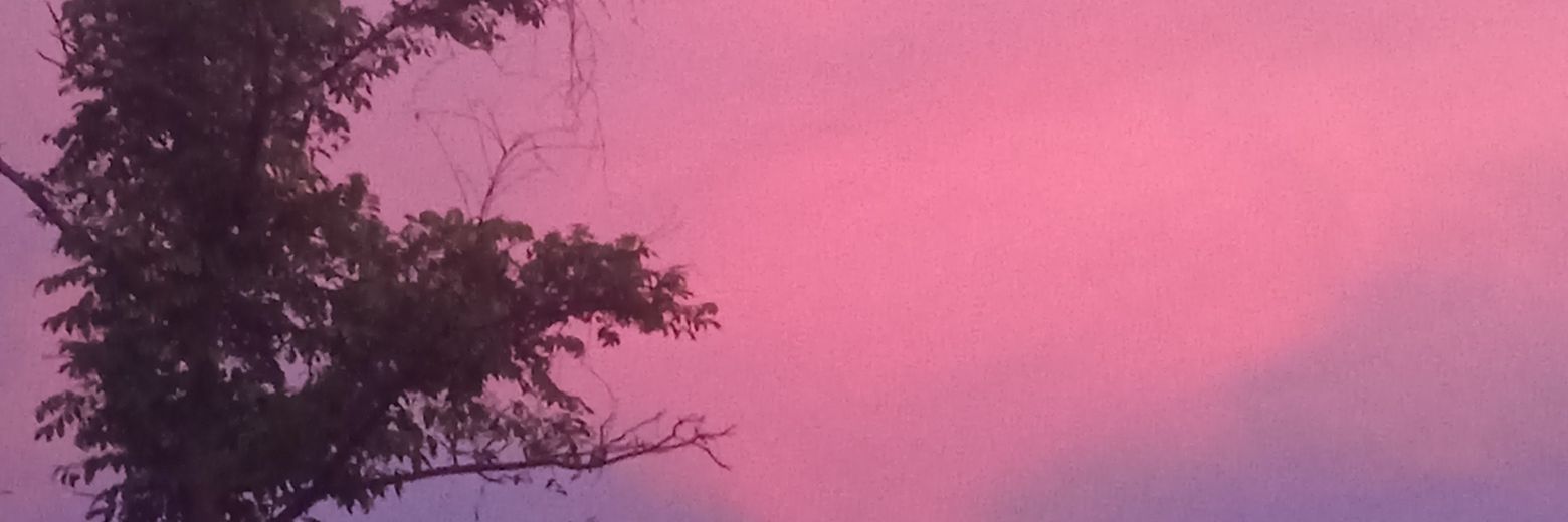 Im banner