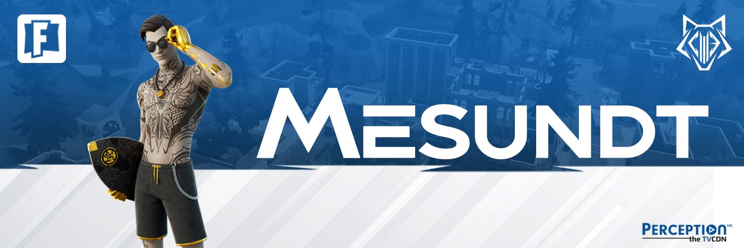 MeSundt banner