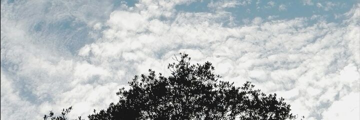 MemberMem's profile banner image