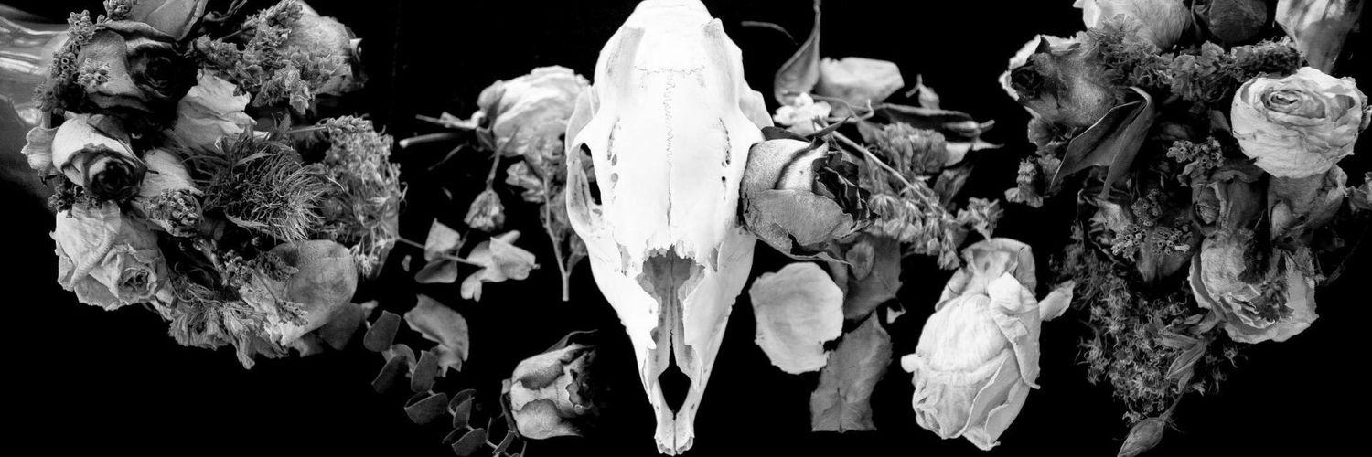 Tedesayuno's profile banner image