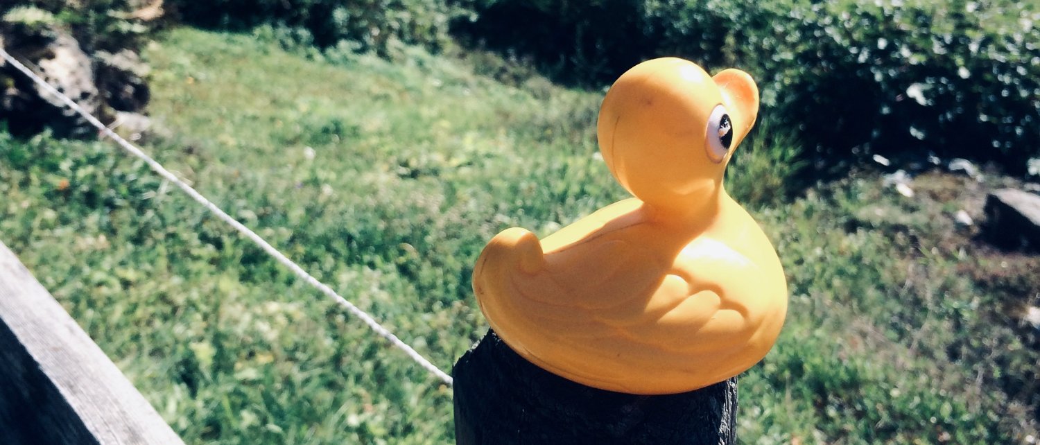 Markus Fehlmann banner