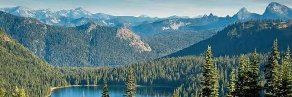 Charles Danger banner