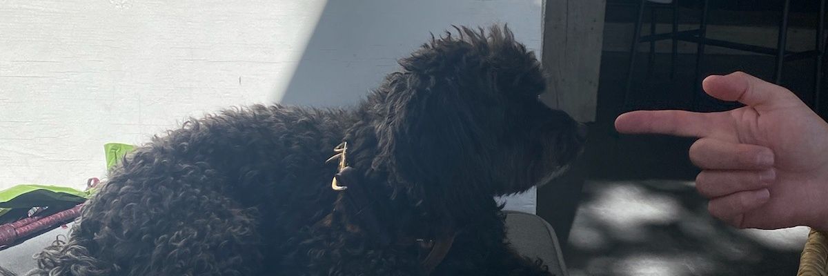SPACuL8r banner