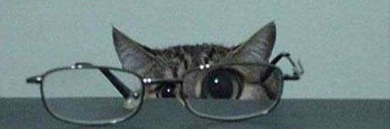r banner