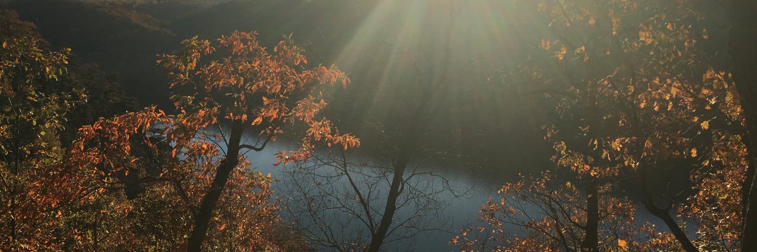 re_ALLYGROSS's profile banner image