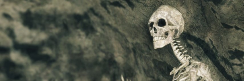 Skeletons in Video Games's banner