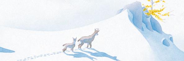 daalcha's profile banner image