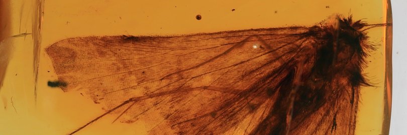 Maria Heikkilä banner