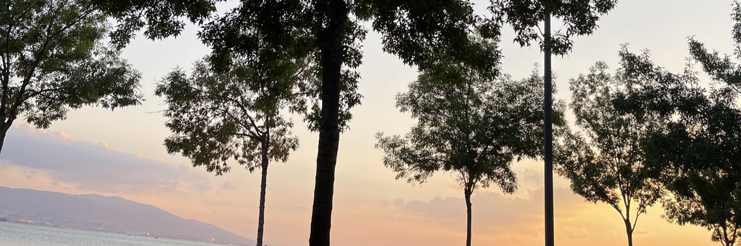 niiknida's profile banner image