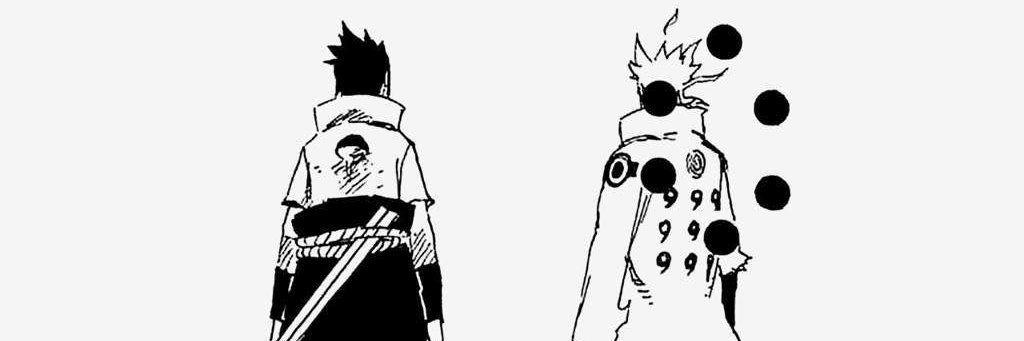 Skuns.🇫🇷 banner