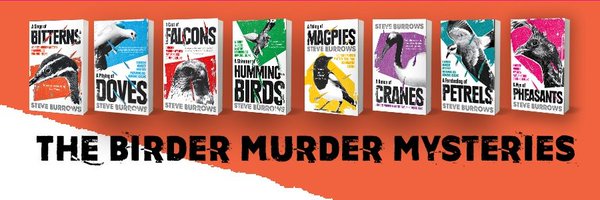 birddetective Profile Banner