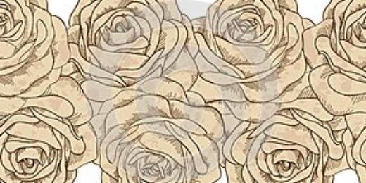 salveON1's profile banner image