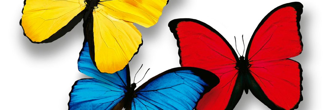 famero7229's profile banner image